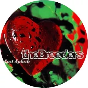 Last Splash