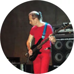 Laufer - Brazilian musician