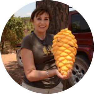 Laura Guzmán Dávalos