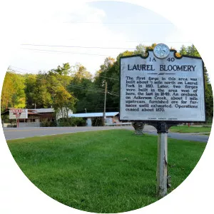 Laurel Bloomery