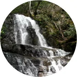 Laurel Falls Trail - 