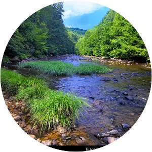 Laurel Hill Creek - Tributary in Pennsylvania