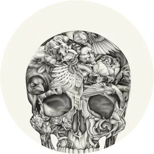 Lauren Mortimer - Illustrator