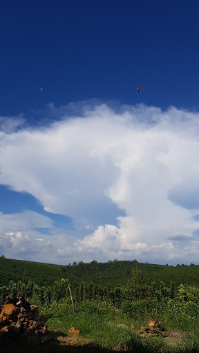 Lazy Garden - Garden in Vietnam