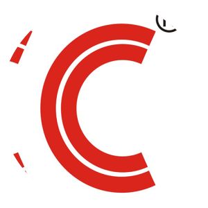 LCC Infotech Ltd. - Company