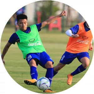 Le Pham Thanh Long (Lê Phạm Thành Long)