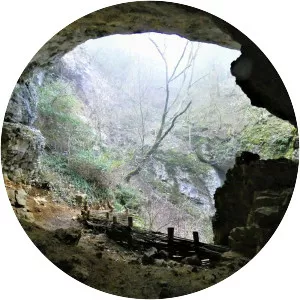 Le Pont des Sarrasins - 