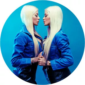 Le Twins - Musical artist