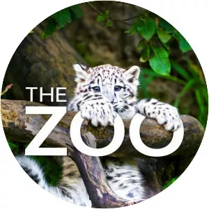 Le zoo du Bronx - TV program
