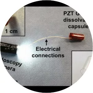 Lead zirconate titanate - Chemical compound