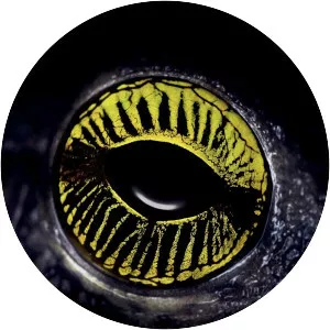 Learning To See photograph