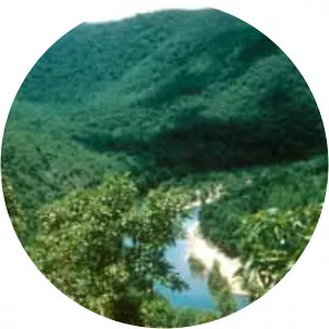 Leatherwood Wilderness - 