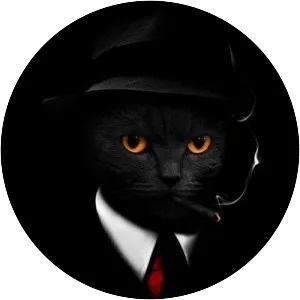 Leda Stray - Musical artist