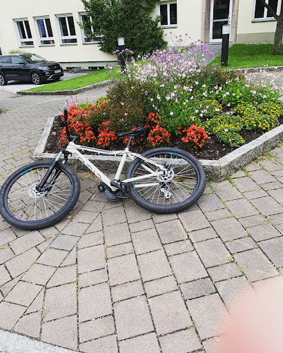 Ledermair - Bus company in Austria