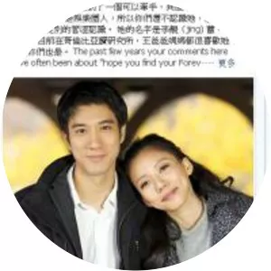 Lee Jinglei - Wang Leehom's ex-wife
