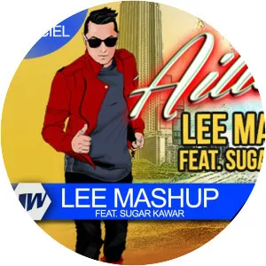 Lee Mashup - Musical artist