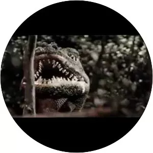 Legend of Dinosaurs & Monster Birds