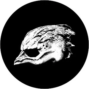 Legend of the Seagullmen - Musical group