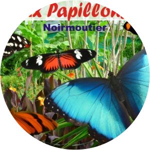 legendia parc l'île aux papillons - 