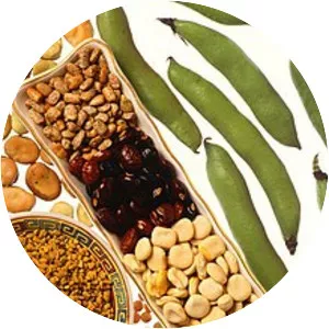Legume - 
