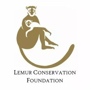 Lemur Conservation Foundation - Non-profit organization
