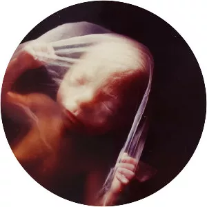 Lennart Nilsson - Swedish photographer