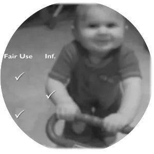 Lenz v. Universal Music Corp. - 