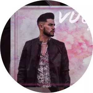 León Bravo - Musical artist