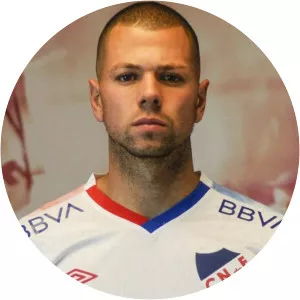 Leonardo Henriques Coelho