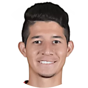 Leonardo Jose Flores Soto