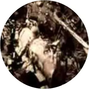 Leoncarlo Settimelli - Italian journalist