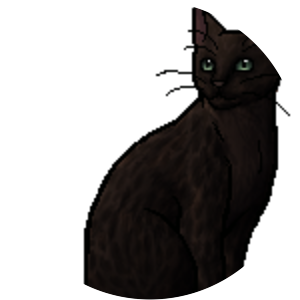 Leopardfoot photograph