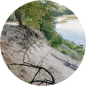 Lerskrænten Roskilde