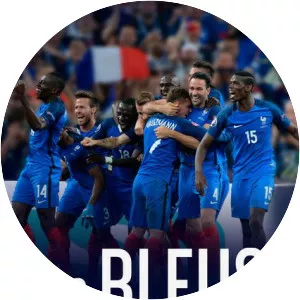 Les bleus : une autre histoire de France 1996-2016