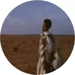 Les pierres bleues du désert