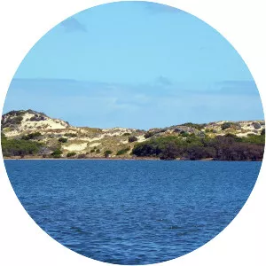 Leschenault Estuary - 