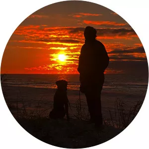 Leslie Wolfe - Novelist