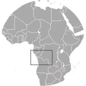 Lesser Angolan epauletted fruit bat - Animal