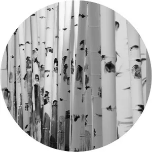 Levan Songulashvili - Georgian visual artist