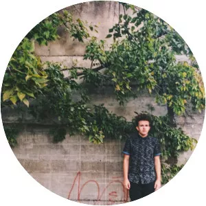 Levi Hinson - Musical artist