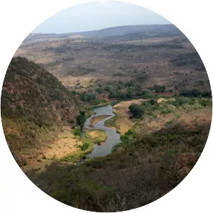 Levubu River - Tributary in South Africa