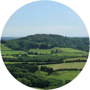 Lewesdon Hill - Hill in England