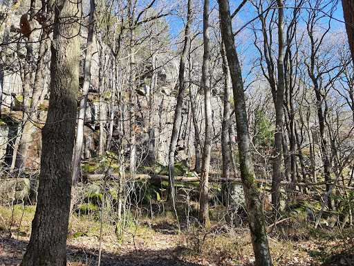 Lexby dal vandringsleder