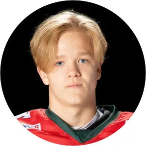 Liam Dower Nilsson - Ice hockey player