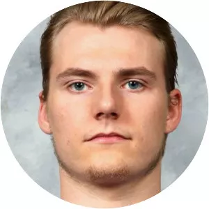 Lias Andersson - Ice hockey player