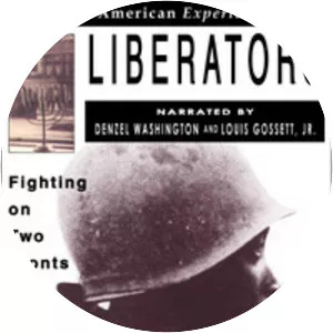 Liberators: Fighting on Two Fronts in
