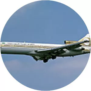 Libyan Arab Airlines Flight 1103 - Disaster