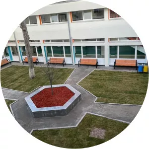 liceul george cosbuc