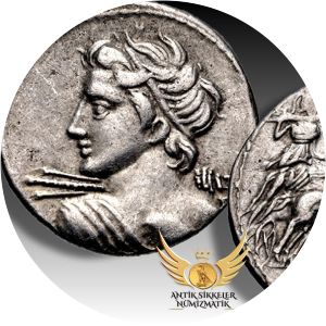 Licinius Macer photograph