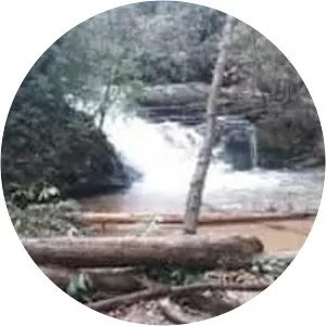 Licklog Falls and Pigpen Falls - 